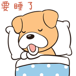 哈二飞