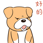 哈二飞