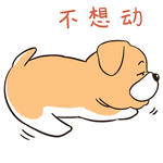哈二飞