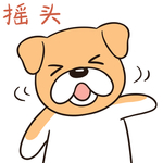 哈二飞