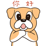 哈二飞