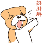 哈二飞