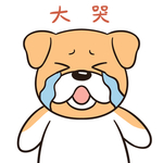 哈二飞