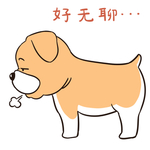 哈二飞