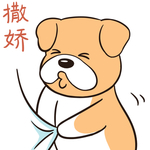 哈二飞