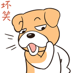 哈二飞