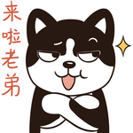 哈二帅