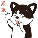 哈二帅