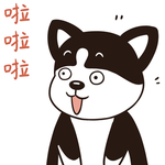哈二帅