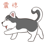哈二顺