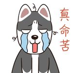 哈二顺