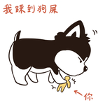 哈二点