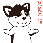 哈二点