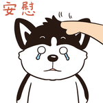 哈二点