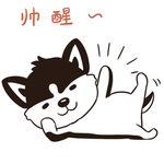 哈二点