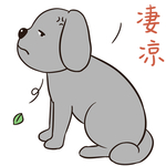 哈二金