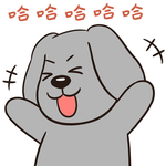 哈二金