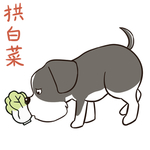 哈二民