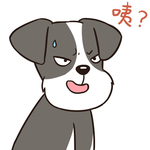 哈二民