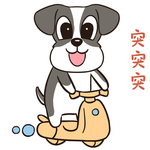 哈二民
