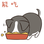 哈二民
