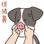 哈二民