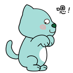 猫可儿