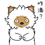 毛猫