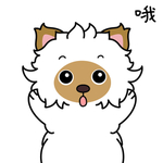 毛猫