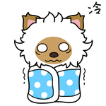 毛猫