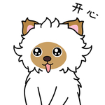 毛猫