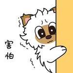 毛猫