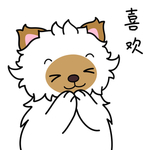 毛猫