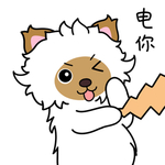 毛猫