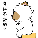 毛猫
