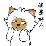 毛猫