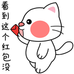 胖猫