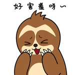 树懒阿卡