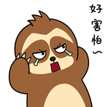 树懒阿卡