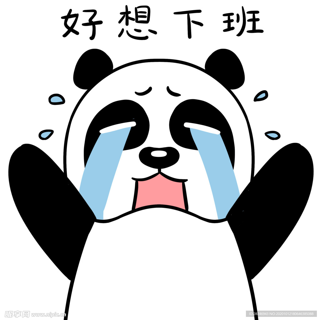 熊猫忉忉