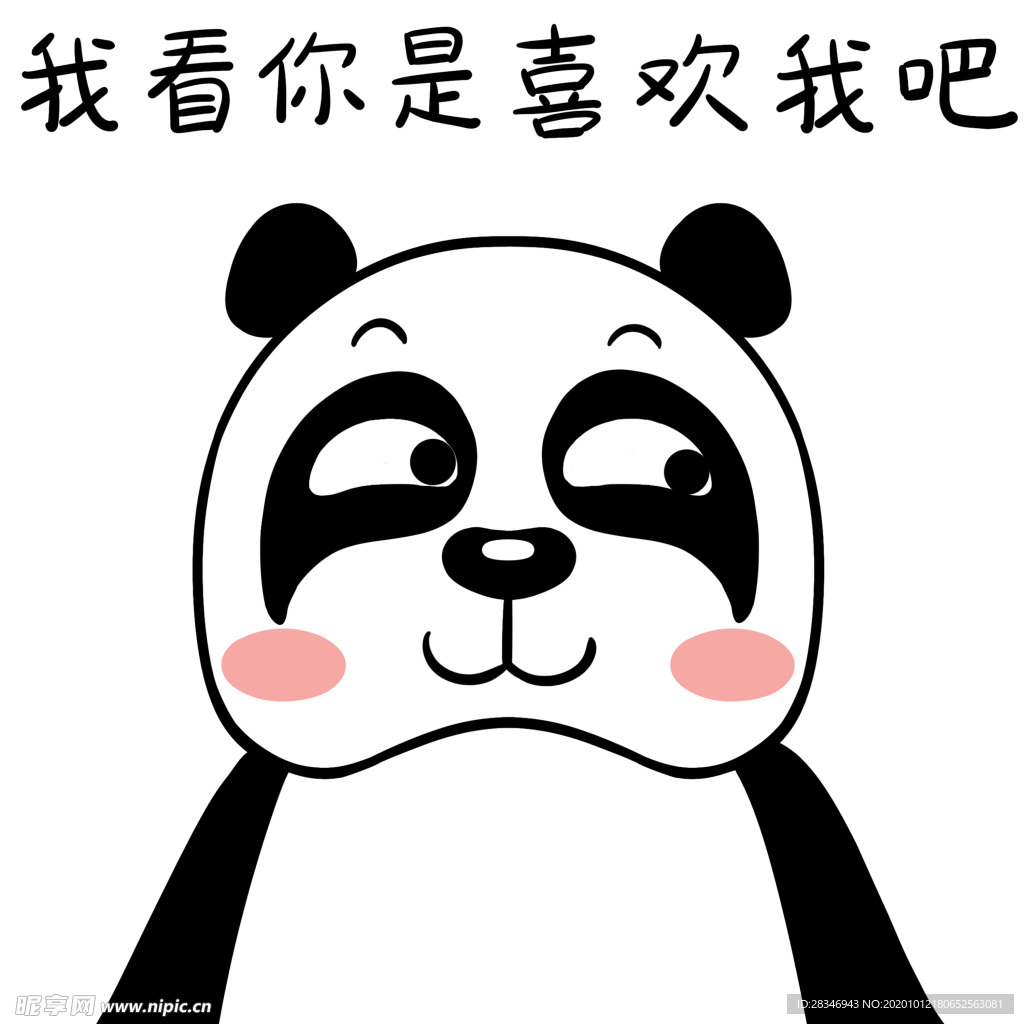 熊猫忉忉