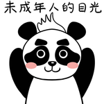 熊猫叮叮
