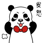 熊猫照照