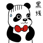 熊猫照照
