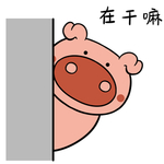猪不了