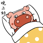 猪不了