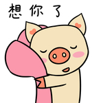猪可可
