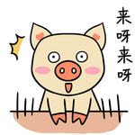 猪可可