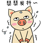 猪可可