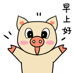 猪可可